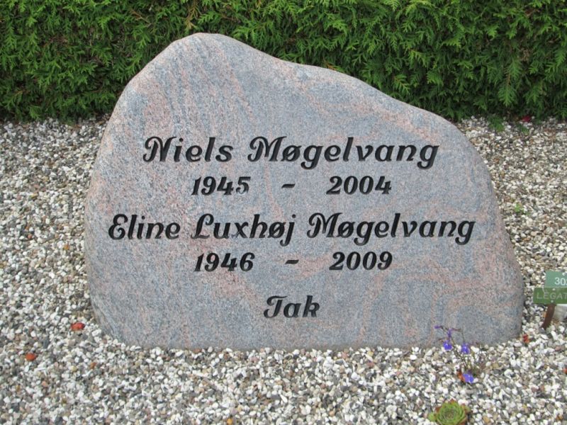 Niels Moegelvang .JPG